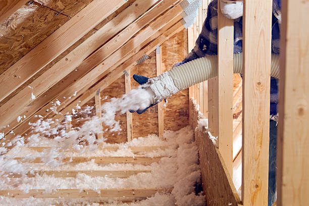 Best Basement Insulation  in Milbank, SD